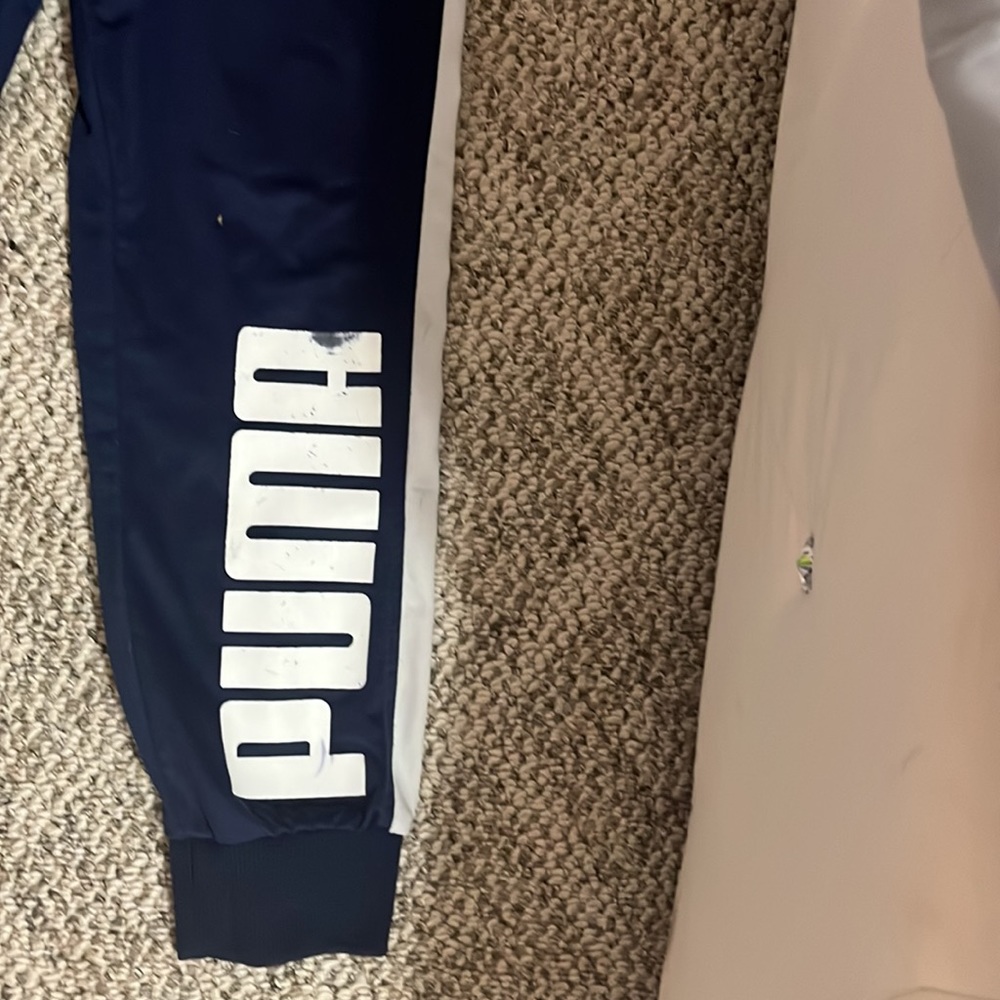 Puma - Picture 5 of 7